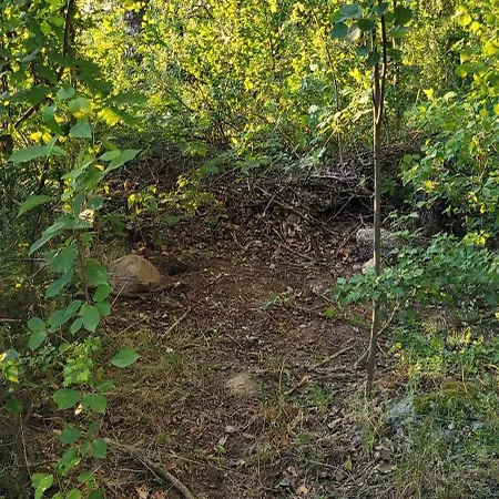 Place For Tent - Miejsce Na Namiot U Stop Natury Luksustelt